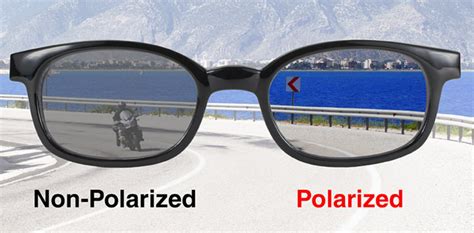 polarized sunglasses vs normal.